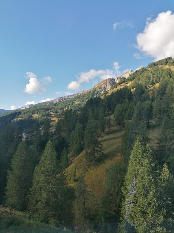 La Foux D'Allos Centre Station, Vue Panoramique Quartier Les Etoiles 50M Des Remontees Exterior foto